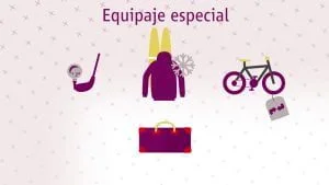 equipaje-ave