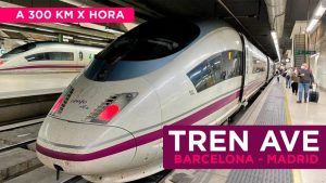 Ruta de aves imperdibles: Descubre la migración de Ave Barcelona Madrid Ruta de aves imperdibles: Descubre la migración de Ave Barcelona Madrid